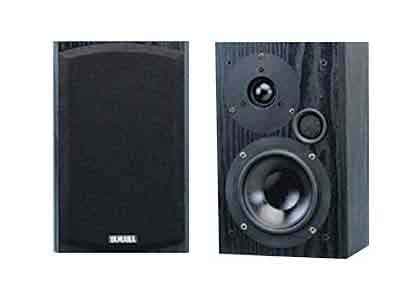 Yamaha NS-G25